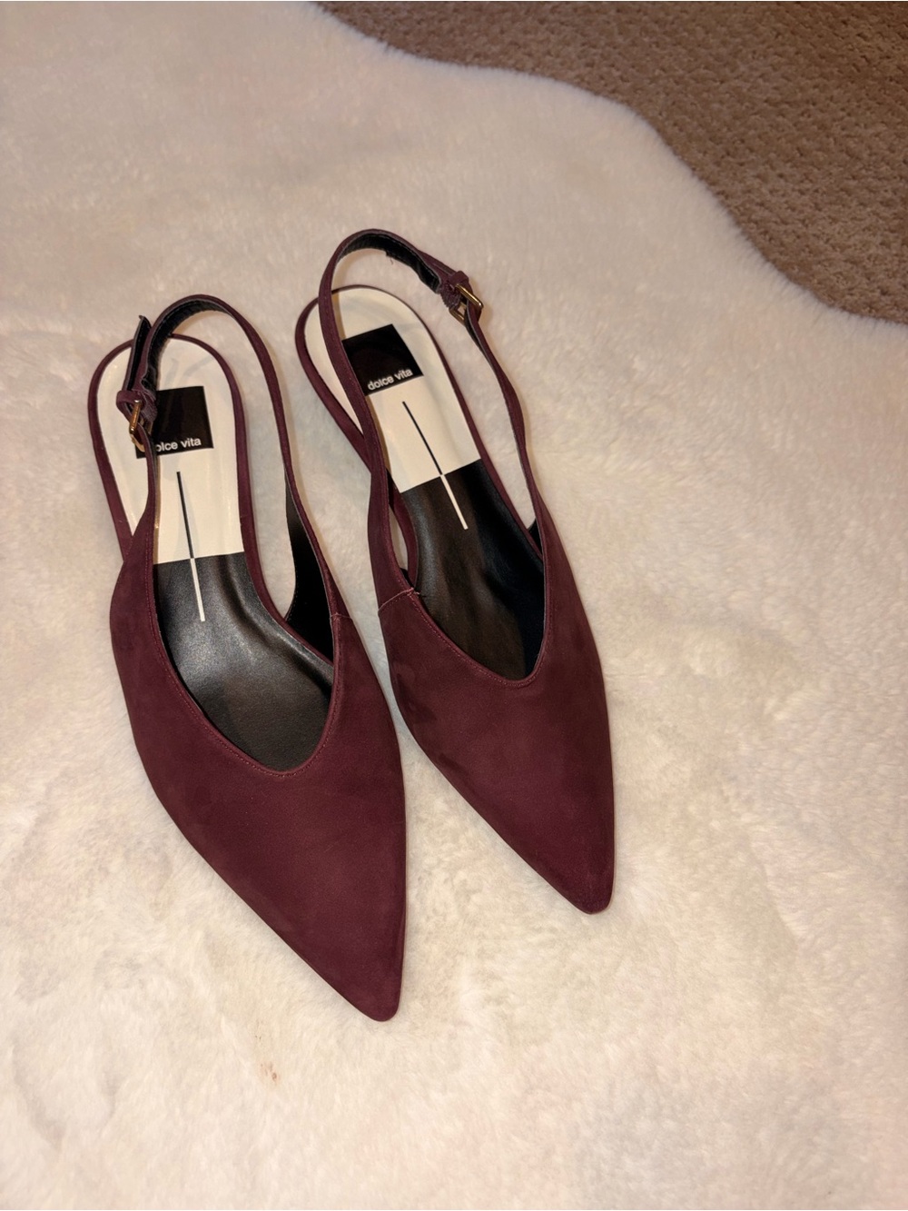 Dolce Vita Alenna Burgundy Pointed Slingback Flats
